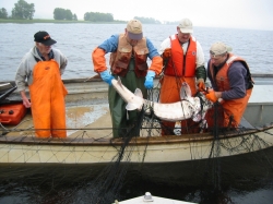 Laichfischfang im St. John ((c)VOX Tierzeit)