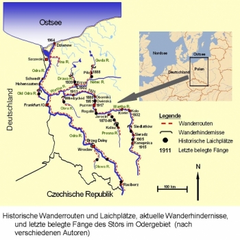 Störwanderung im Odergebiet